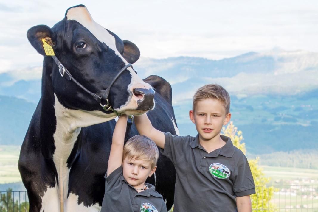 Erfahren Sie, wie Embryonen-Importe und IVP-Technologie die Holstein-Zucht in der Schweiz verbessern.