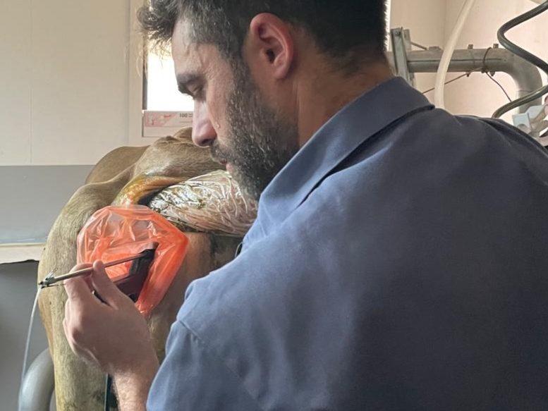 Swissgenetics bietet in Bütschwil eine ambulante Eizellpunktion mit moderner Infrastruktur, kürzeren Transportwegen und tiergerechtem Ablauf für erfolgreiche Embryoproduktion.