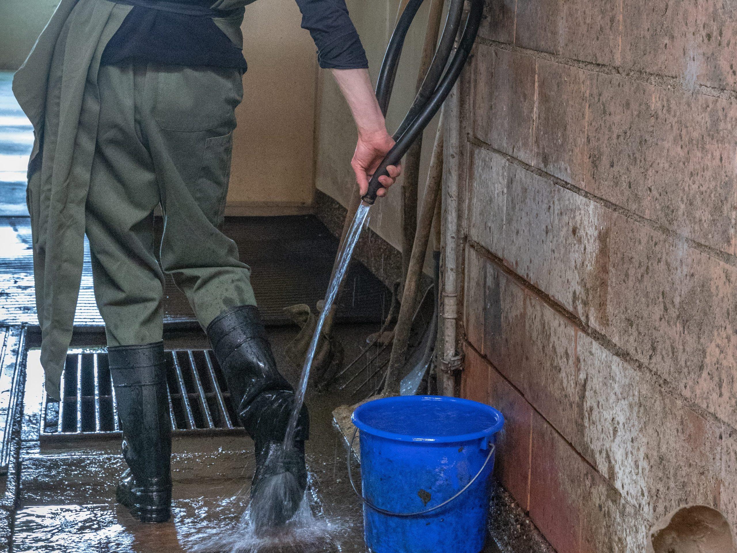 Une hygiène rigoureuse des mains, bottes et vêtements est essentielle pour prévenir la propagation de germes entre exploitations lors des interventions en élevage.