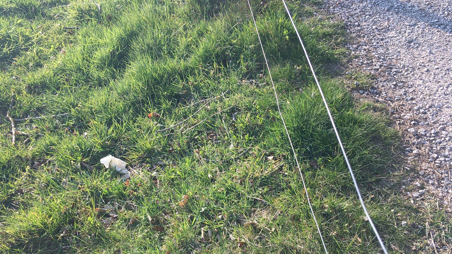 Menschliche Hinterlassenschaften auf Weiden gefährden die Biosicherheit; Aufklärung und Hinweise können Spaziergänger sensibilisieren.